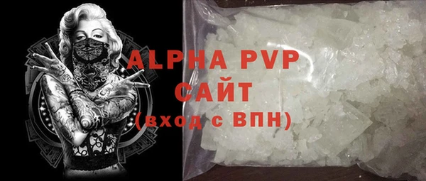 стафф Арсеньев