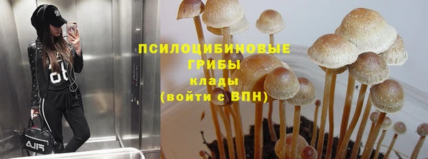 PSILOCYBIN Армянск