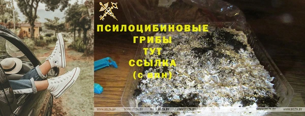 PSILOCYBIN Армянск