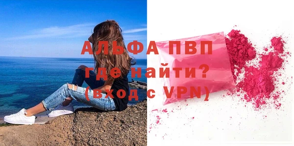 стафф Арсеньев