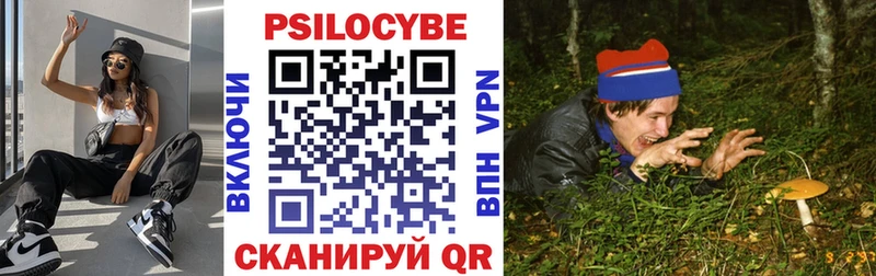 Галлюциногенные грибы GOLDEN TEACHER  Купить закладки  Судогда 